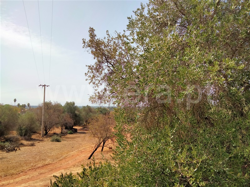 Terreno Urbano / Loulé, Cerro Cabeça de Cãmara