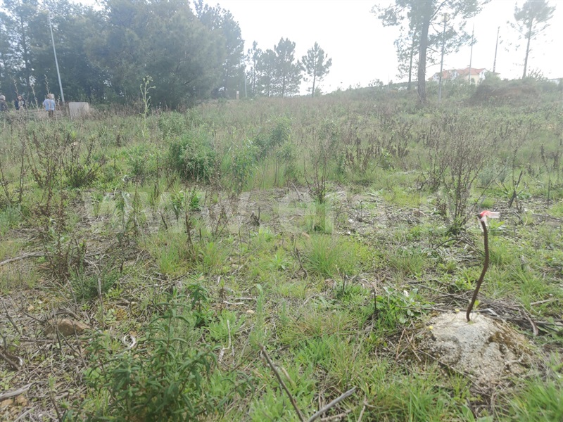 Terreno Urbano  Mação, Mação, Penhascoso e Aboboreira - 1370150 - 1