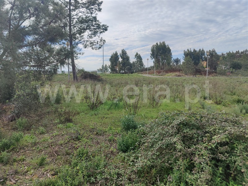 Terreno Urbano  Mação, Mação, Penhascoso e Aboboreira - 1370150 - 3