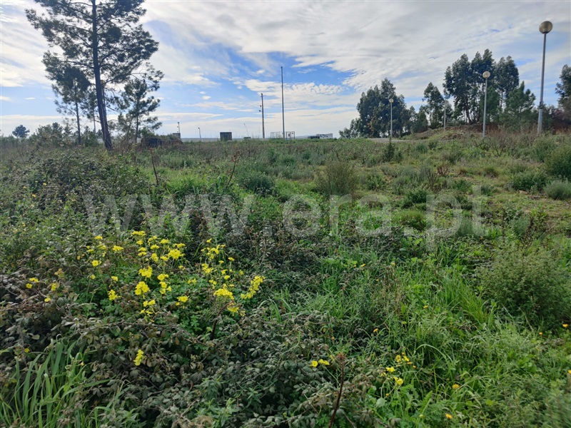 Terreno Urbano  Mação, Mação, Penhascoso e Aboboreira - 1370150 - 5