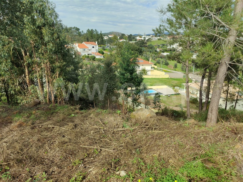 Terreno  Mação, Mação, Penhascoso e Aboboreira - 1385740 - 3