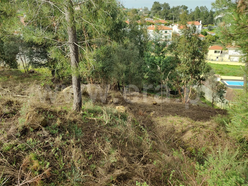 Terreno  Mação, Mação, Penhascoso e Aboboreira - 1385740 - 4