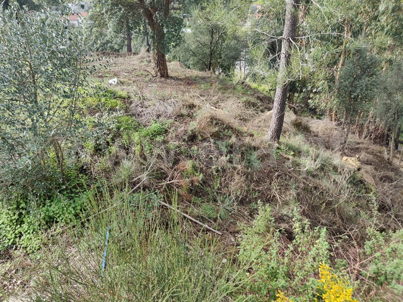 Terreno  Mação, Mação, Penhascoso e Aboboreira - 1385740 - 5