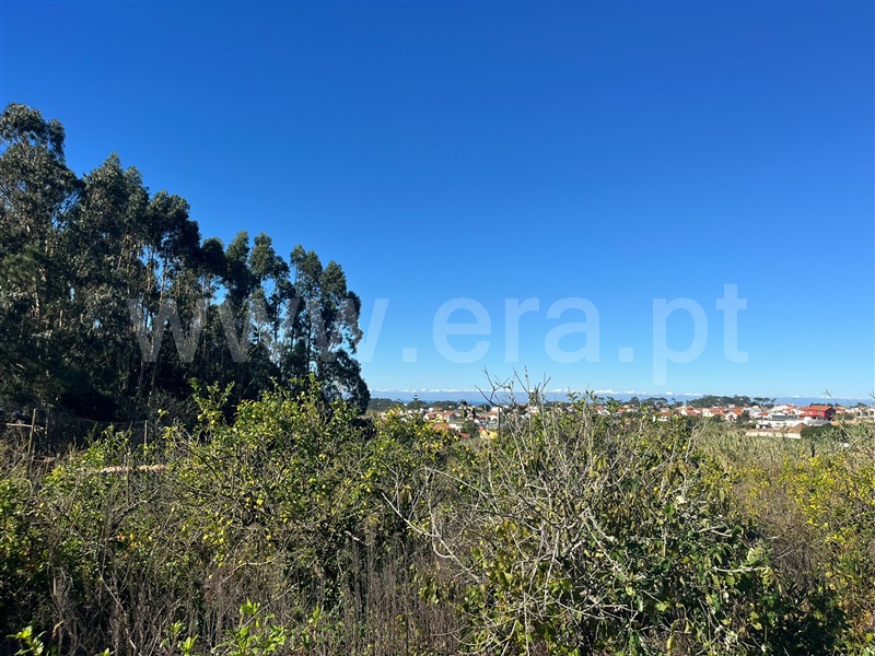 Terreno Urbano / Mafra, Mafra Periferia
