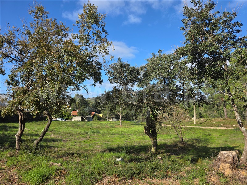 Terreno Urbano / Mafra, Mafra