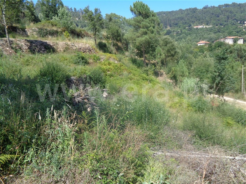 Terreno Urbano  Marco de Canaveses, Rio Douro - 834861 - 4