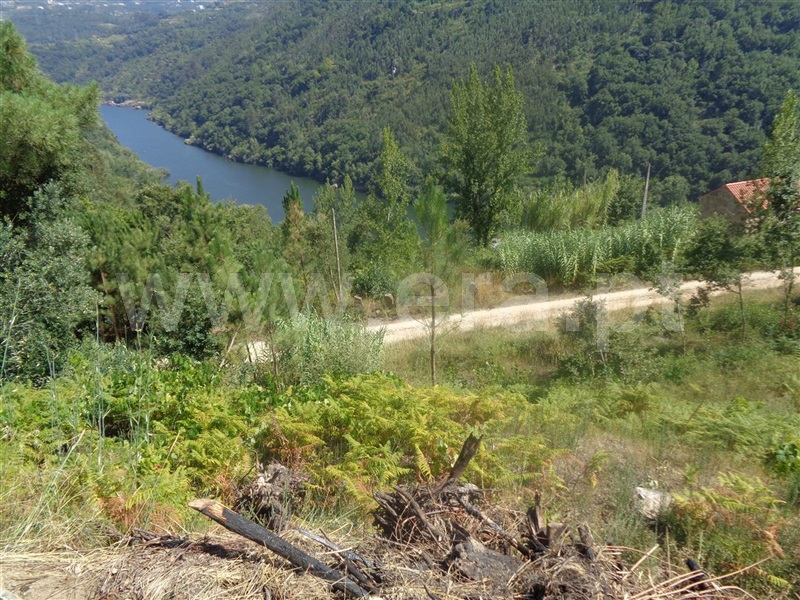 Terreno Urbano  Marco de Canaveses, Rio Douro - 834861 - 9