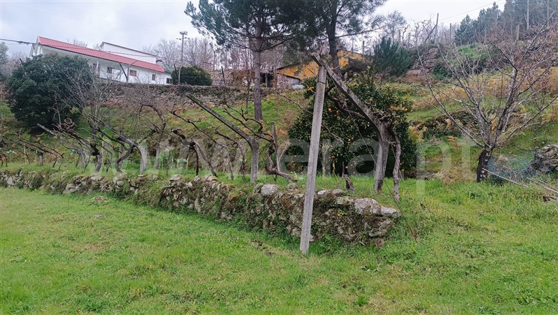 Terreno Urbano  Marco de Canaveses, Soalhães - 1465765 - 20