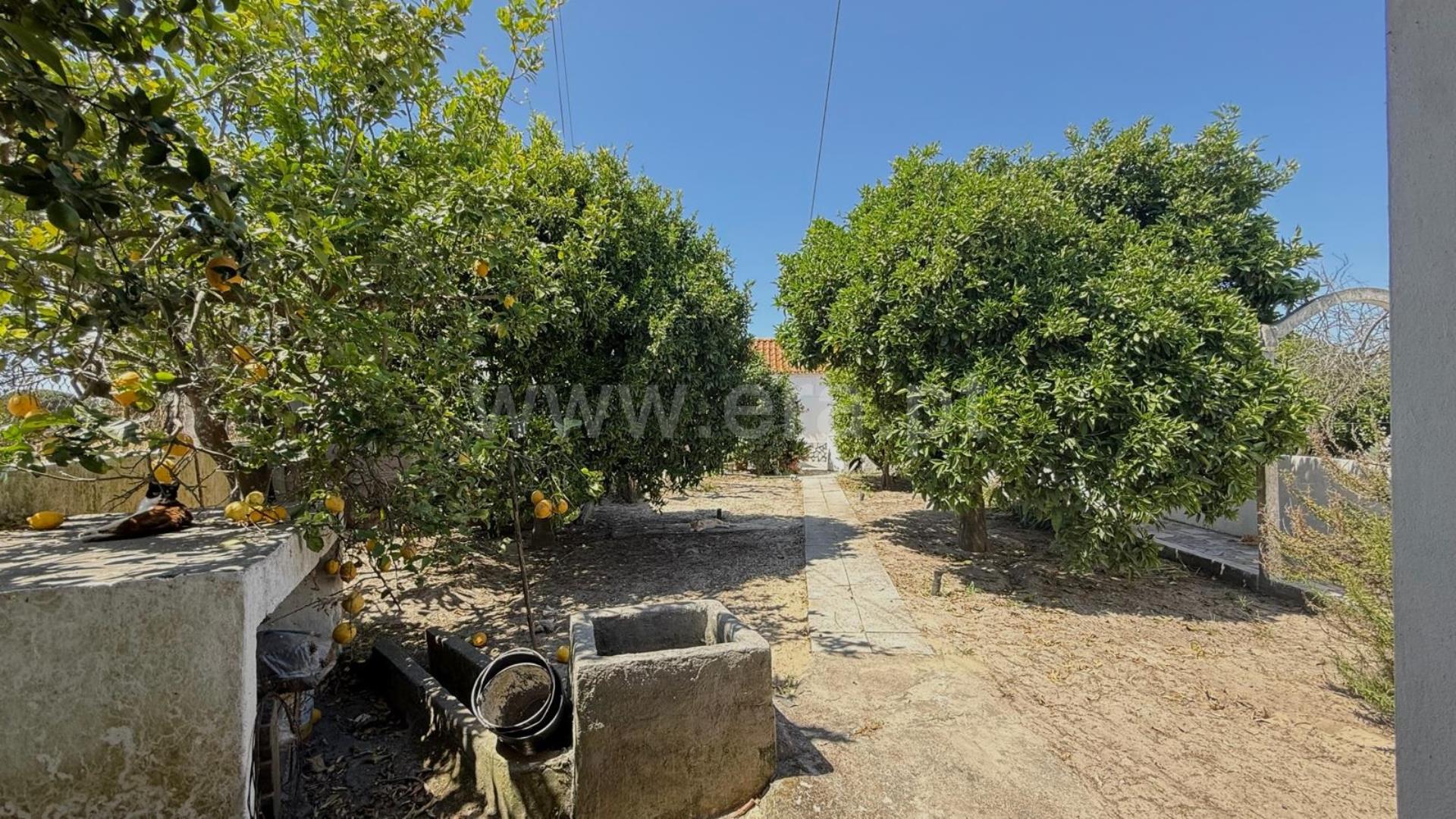 Land for sale in Moita, Portugal — €190,000