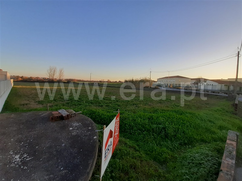 Terreno Urbano  Murtosa, Monte - 1373044 - 3