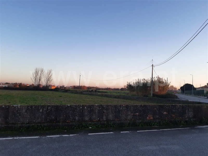 Terreno Urbano  Murtosa, Monte - 1373044 - 10