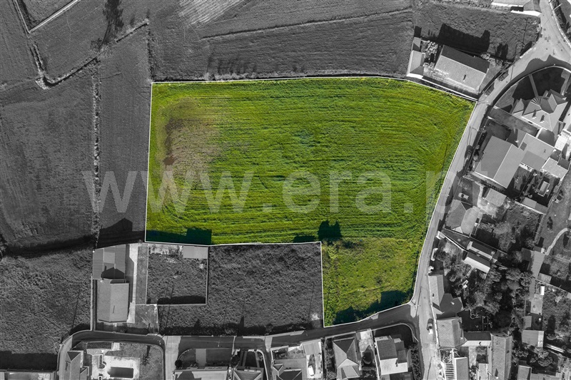 Terreno Urbano / Murtosa, Monte