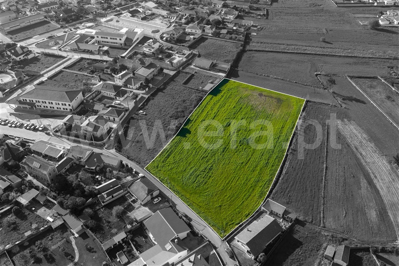 Terreno Urbano / Murtosa, Monte