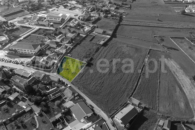 Terreno Urbano / Murtosa, Monte