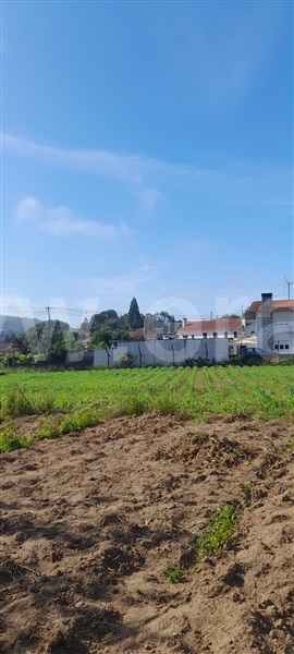 Terreno Urbano / Oliveira de Azeméis, Nogueira do Cravo e Pindelo