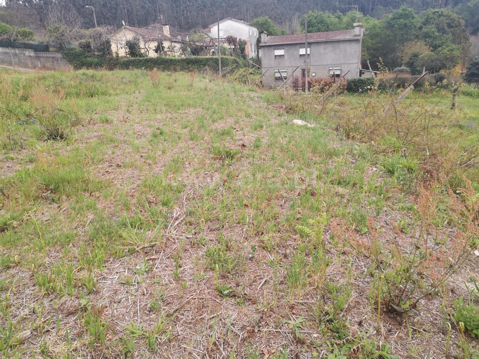 Land for sale in Oliveira de Azeméis, Portugal — €84,000
