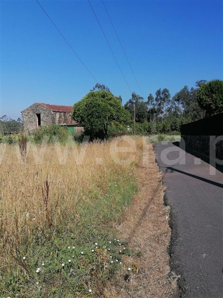Terreno Urbano  Oliveira de Azeméis, São Martinho da Gândara - 1506238 - 1