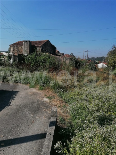 Terreno Urbano  Oliveira de Azeméis, São Martinho da Gândara - 1506238 - 4