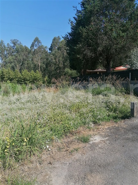 Terreno Urbano  Oliveira de Azeméis, São Martinho da Gândara - 1506238 - 5