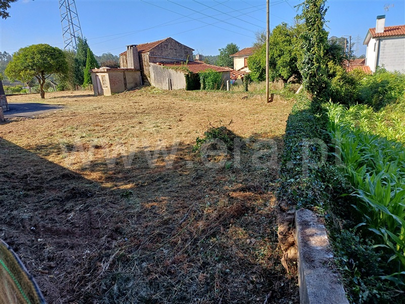 Terreno Urbano  Oliveira de Azeméis, São Martinho da Gândara - 1506238 - 6