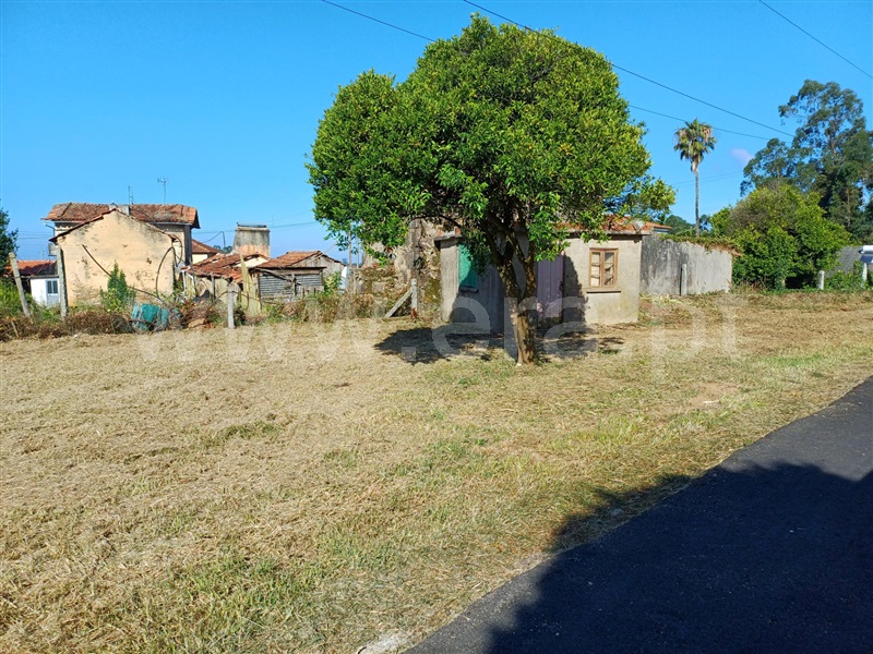 Terreno Urbano  Oliveira de Azeméis, São Martinho da Gândara - 1506238 - 7