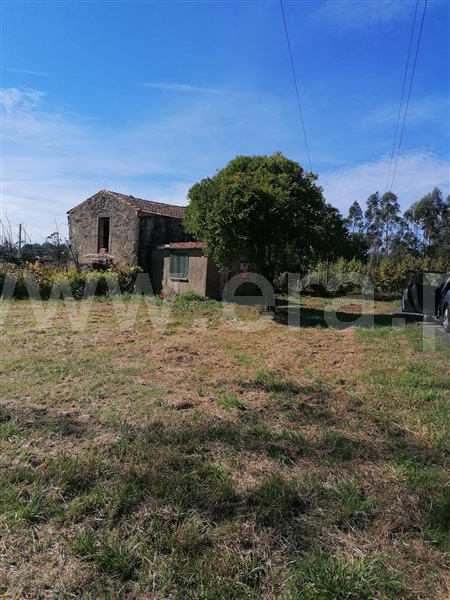 Terreno Urbano / Oliveira de Azeméis, São Martinho da Gândara