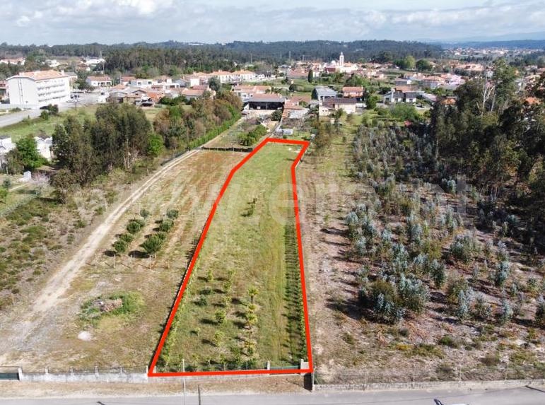 Terreno Urbano / Oliveira do Bairro, Vila Verde