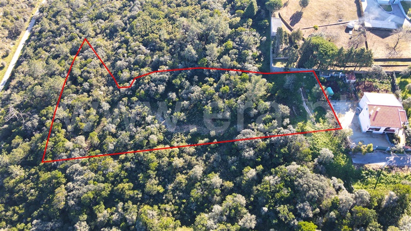 Terreno Urbano / Ourém, Fátima