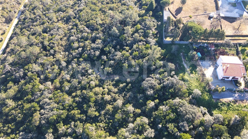 Terreno Urbano  Ourém, Fátima - 1300145 - 2