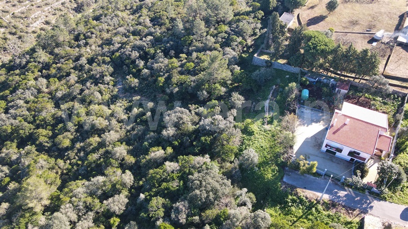 Terreno Urbano  Ourém, Fátima - 1300145 - 3