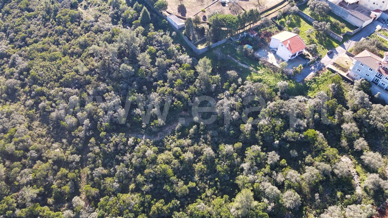 Terreno Urbano  Ourém, Fátima - 1300145 - 9