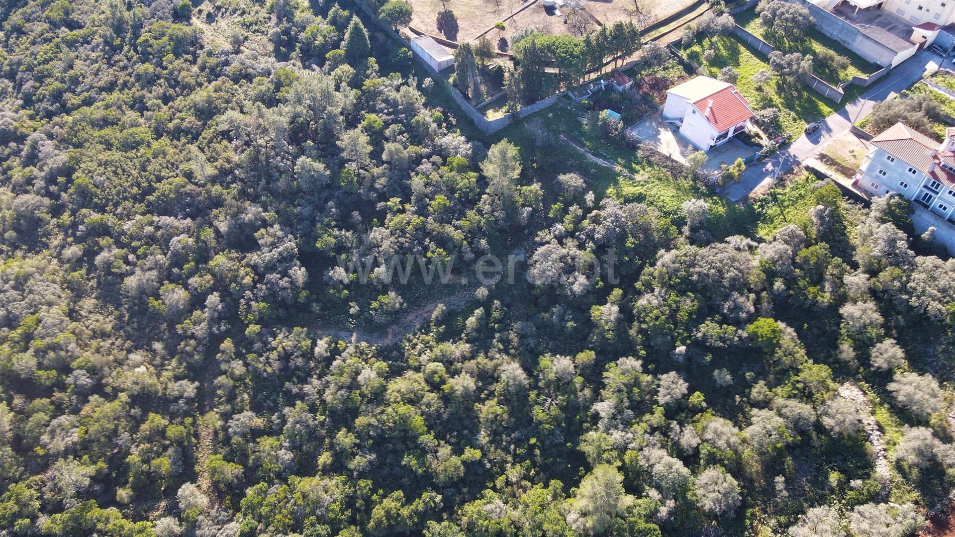 Land for sale in Ourém, Portugal — €85,000