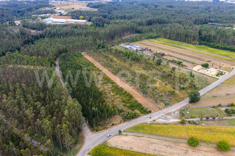 Terreno Urbano  com Urbano Ovar, Arada - 1507566 - 3