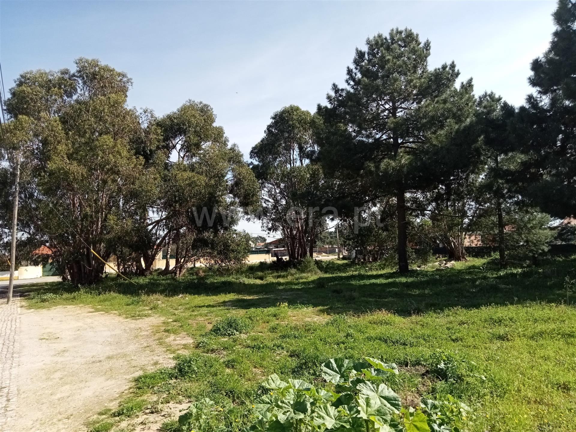 Land for sale in Palmela, Portugal — €299,900
