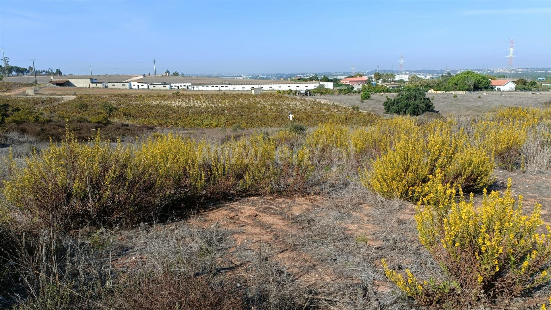 Land for sale in Palmela, Portugal — €98,000