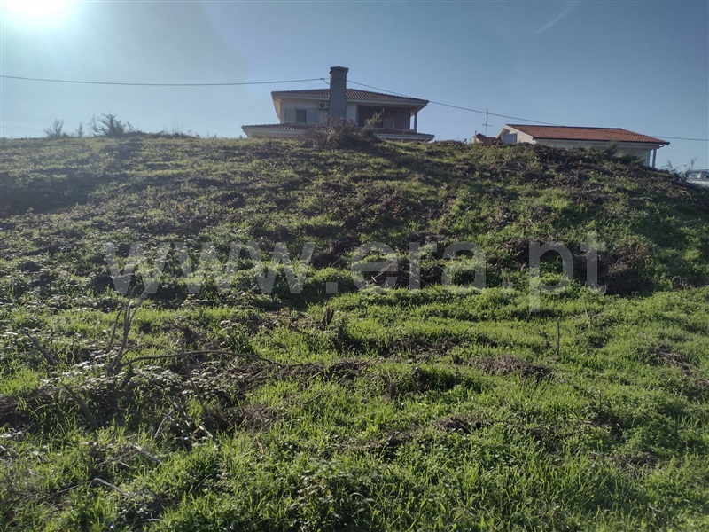 Terreno Urbano / Paredes, Baltar