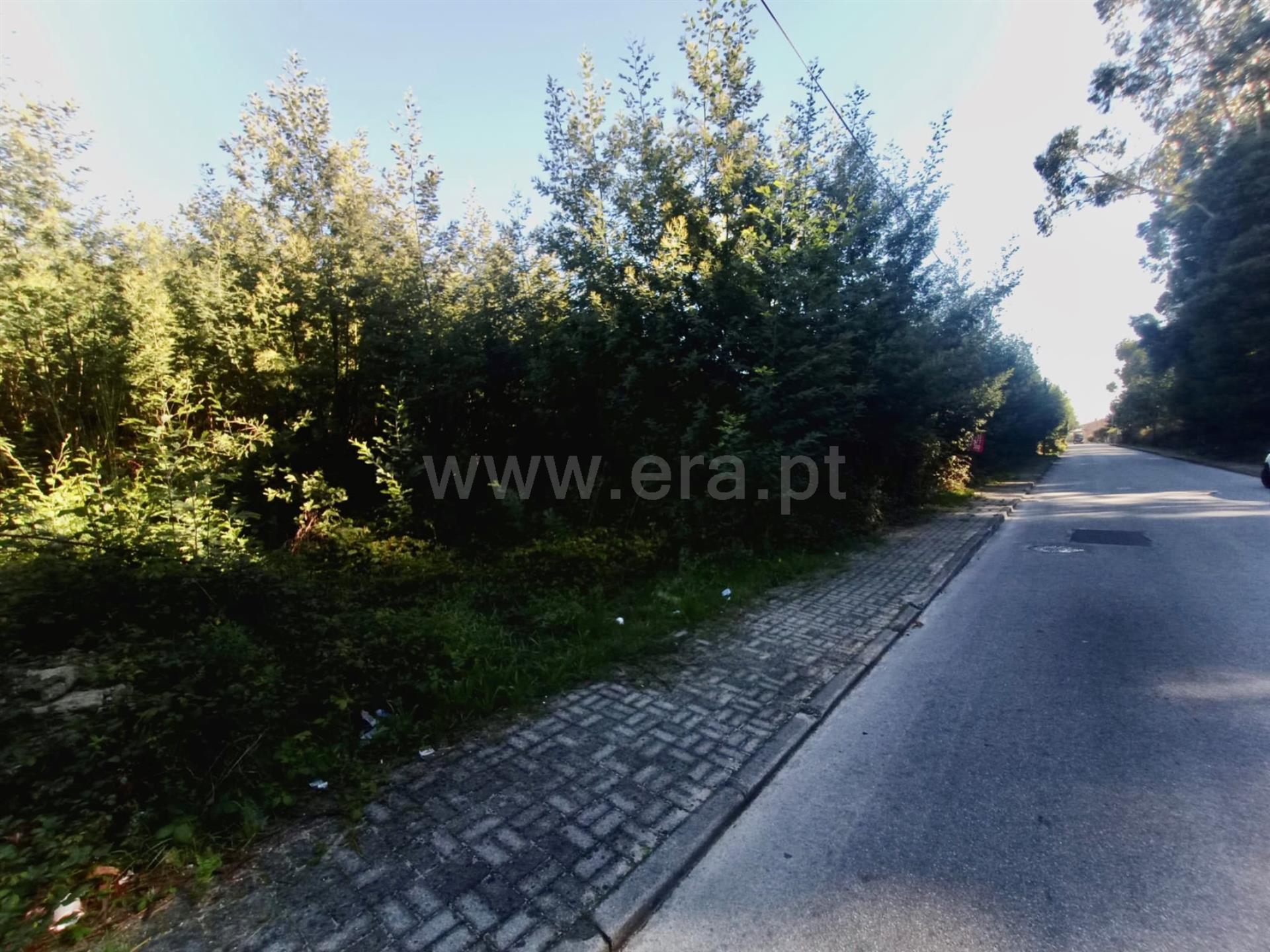 Land for sale in Paredes, Portugal — €420,000