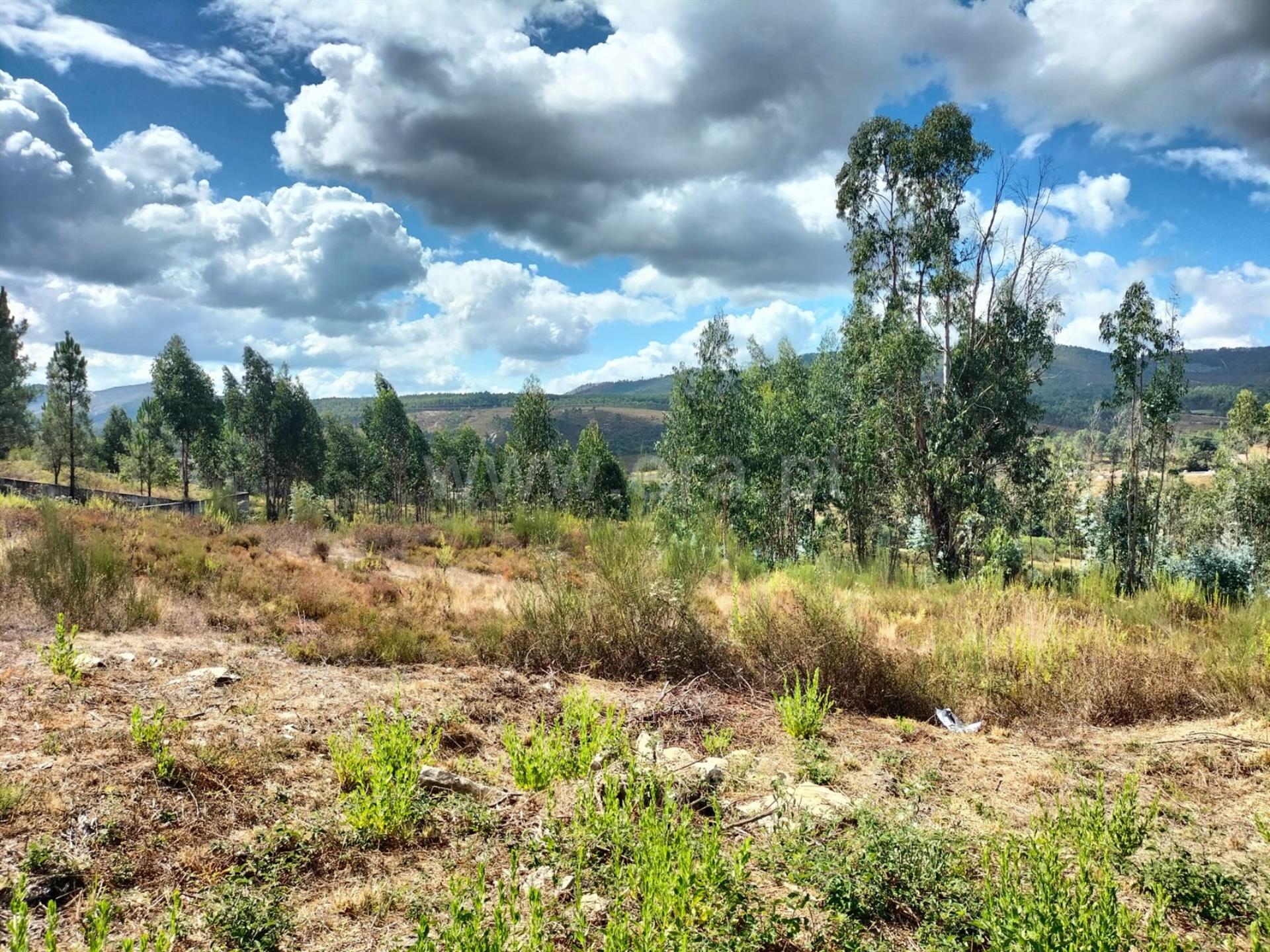 Land for sale in Paredes, Portugal — €115,000
