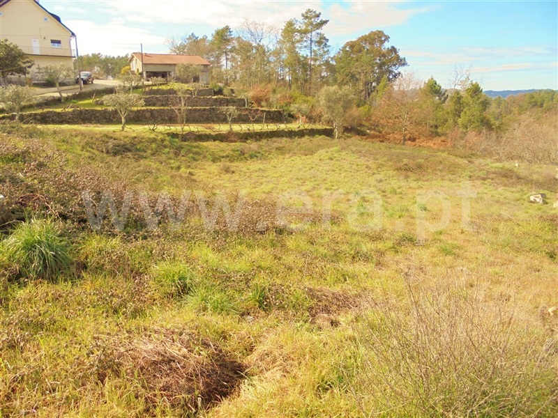 Terreno Urbano  Penalva do Castelo, Penalva do Castelo - 984924 - 6