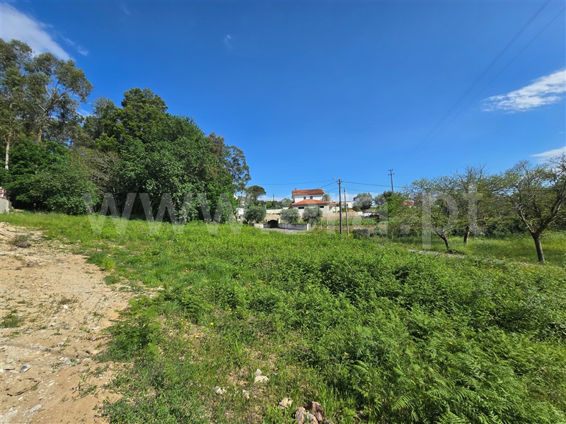 Terreno Urbano  Ponte de Lima, Calheiros - 1478505 - 6