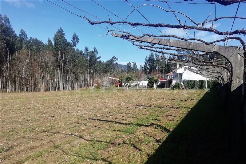 Terreno Urbano  Ponte de Lima, Gaifar - 1306841 - 4