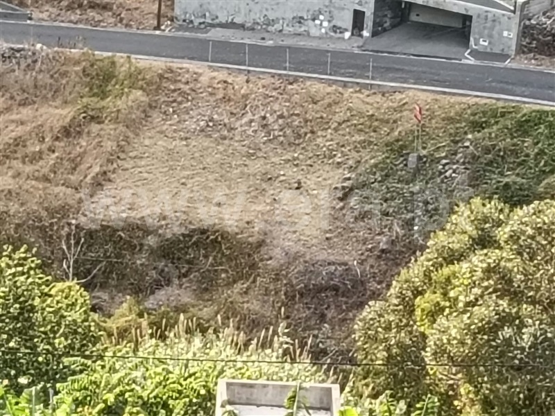 Terreno Urbano / Ribeira Brava, Campanário