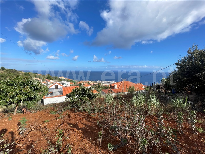 Lote  Santa Cruz - 1510412 - 4