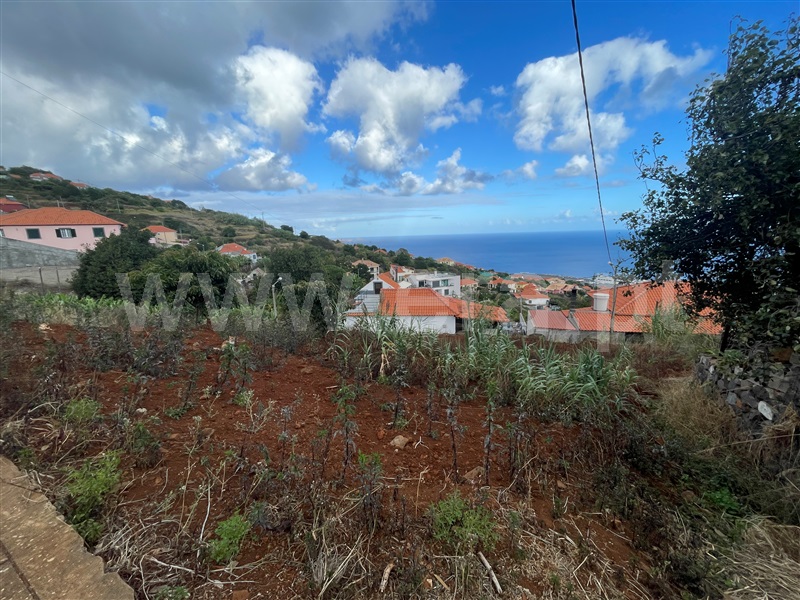 Lote  Santa Cruz - 1510412 - 7