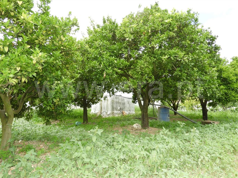 Terreno Urbano  Santarém, Romeira - 1169292 - 5
