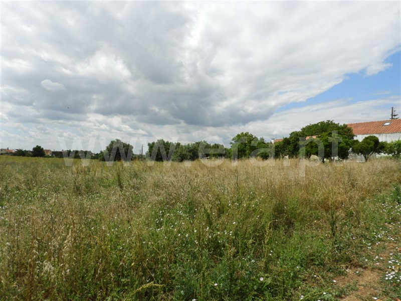 Terreno Urbano  Santarém, Romeira - 1169292 - 9