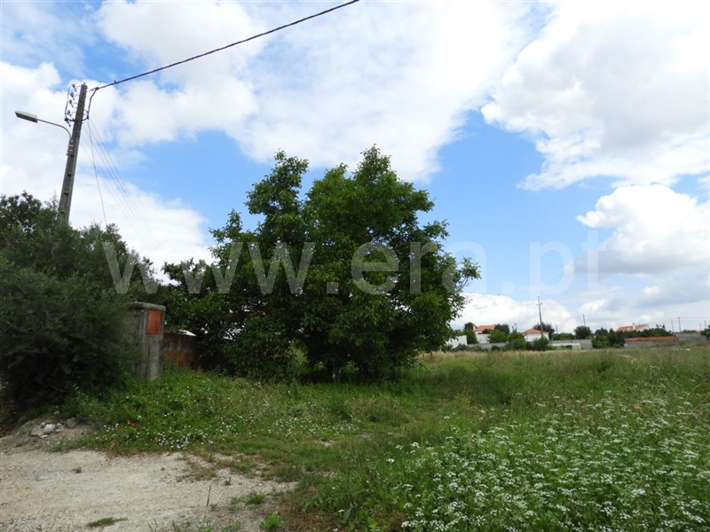 Terreno Urbano  Santarém, Romeira - 1169292 - 10