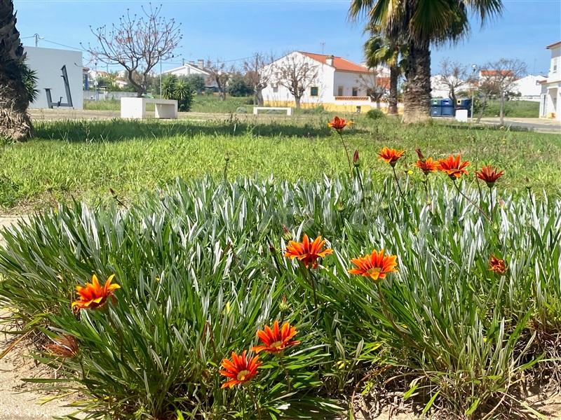 Terreno Urbano  com Aprovado Santiago do Cacém, Ermidas-Sado - 1470070 - 13