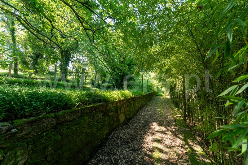 Terreno Urbano / Santo Tirso, Santo Tirso, Couto (Santa Cristina e São Miguel) e Burgães