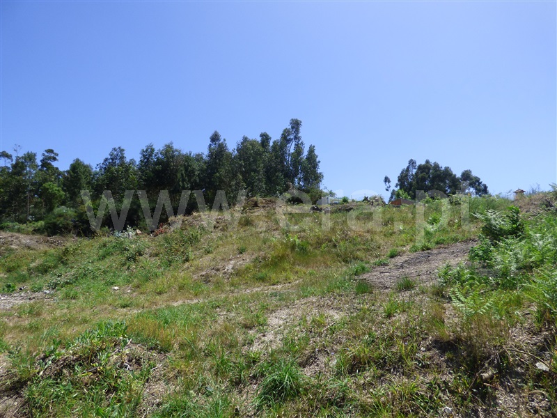 Terreno Urbano  Santo Tirso, Vilarinho - 920619 - 6
